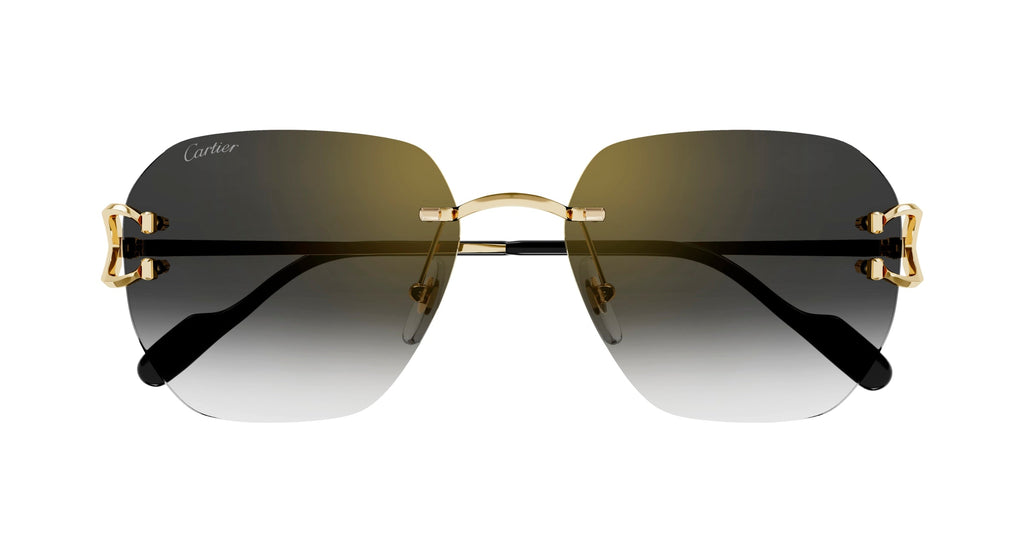 Cartier CT0394S 001