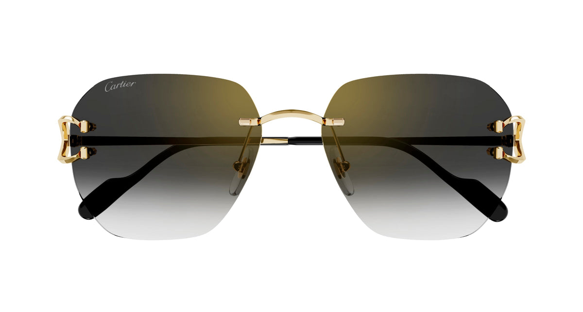 Cartier CT0394S 001