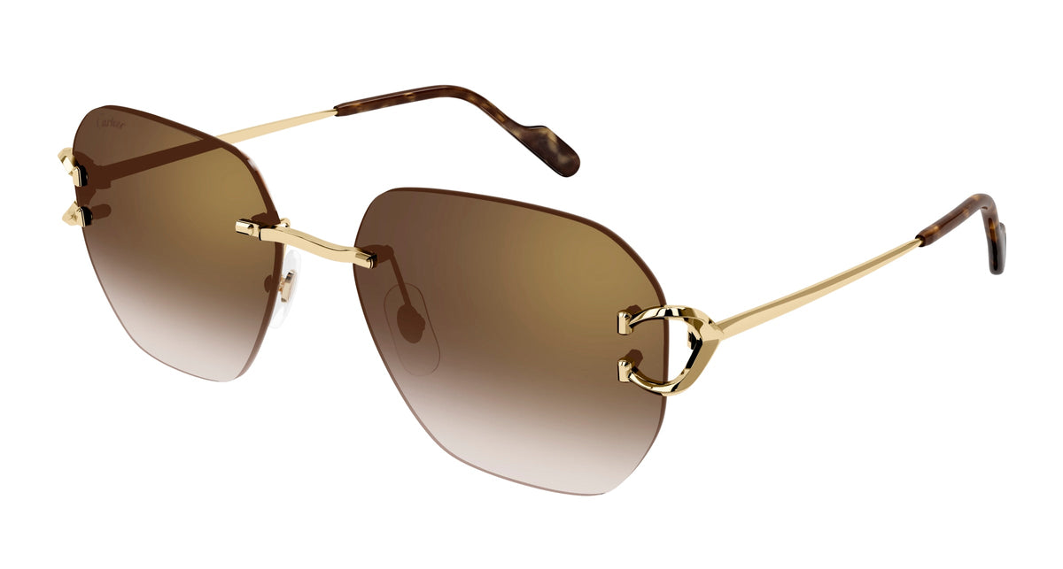 Cartier CT0394S 002