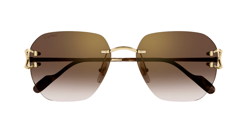 Cartier CT0394S 002