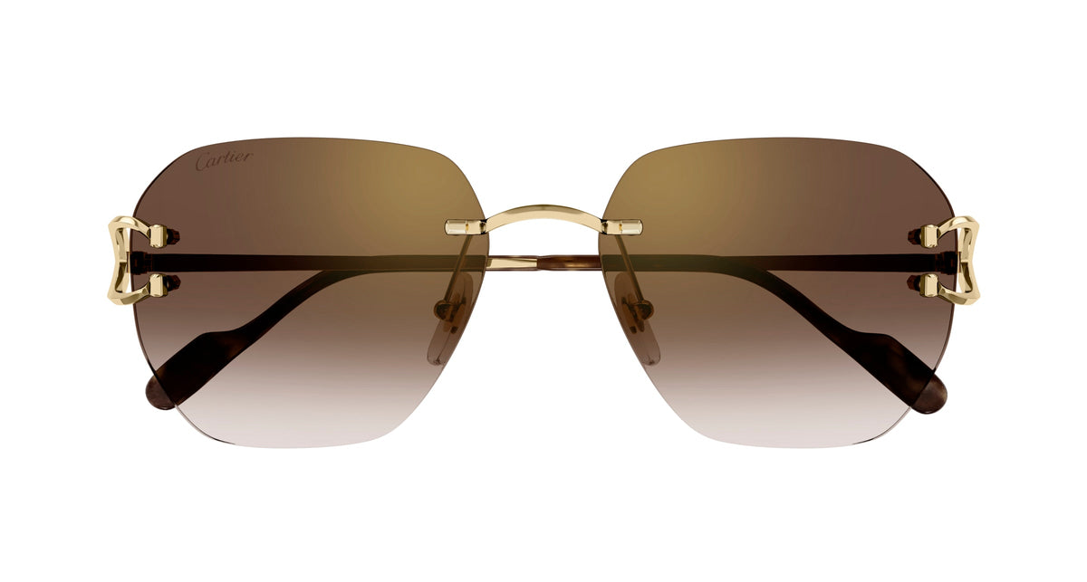 Cartier CT0394S 002