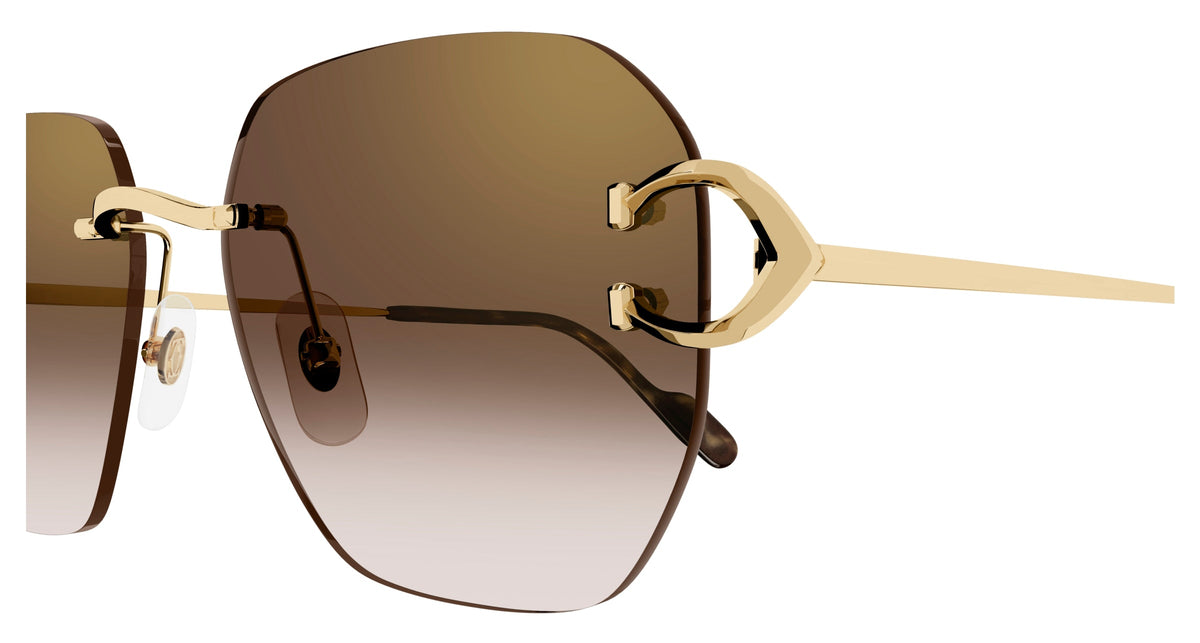 Cartier CT0394S 002