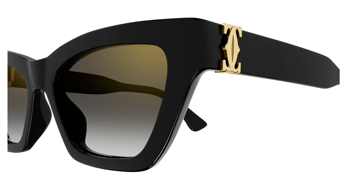 Cartier CT0437S 001