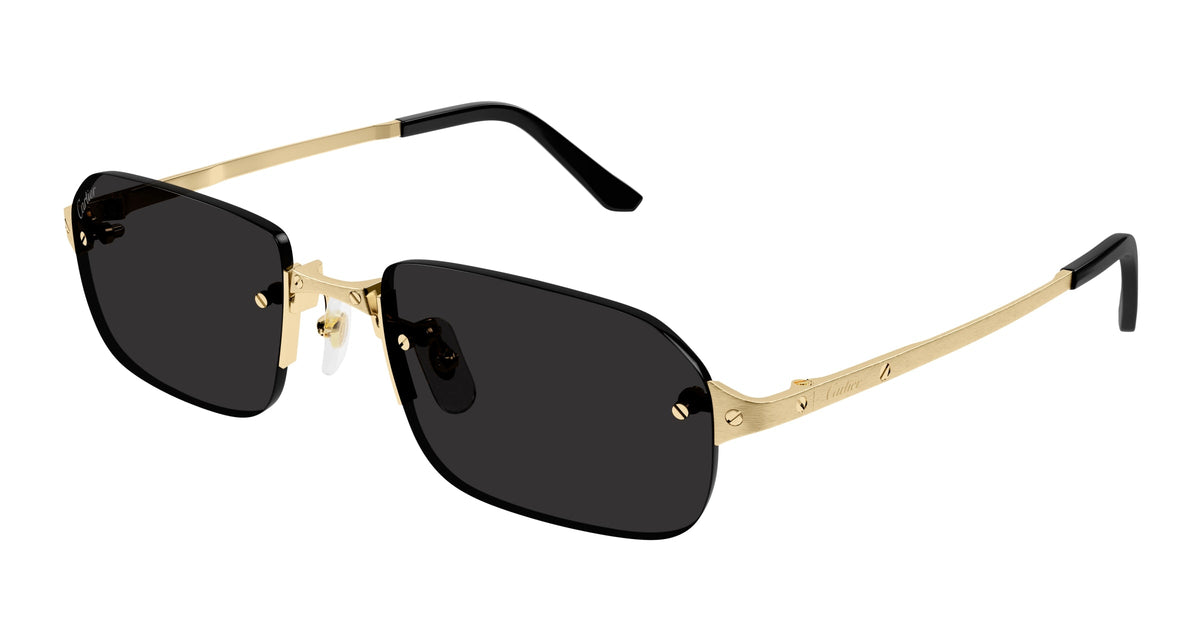 Cartier CT0460S 001