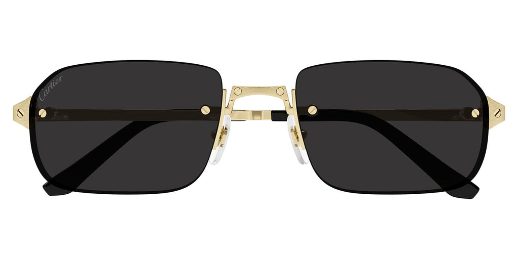 Cartier CT0460S 001