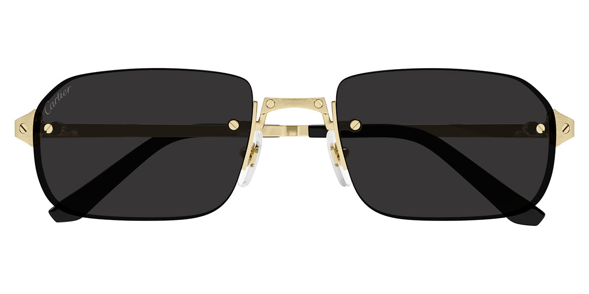 Cartier CT0460S 001
