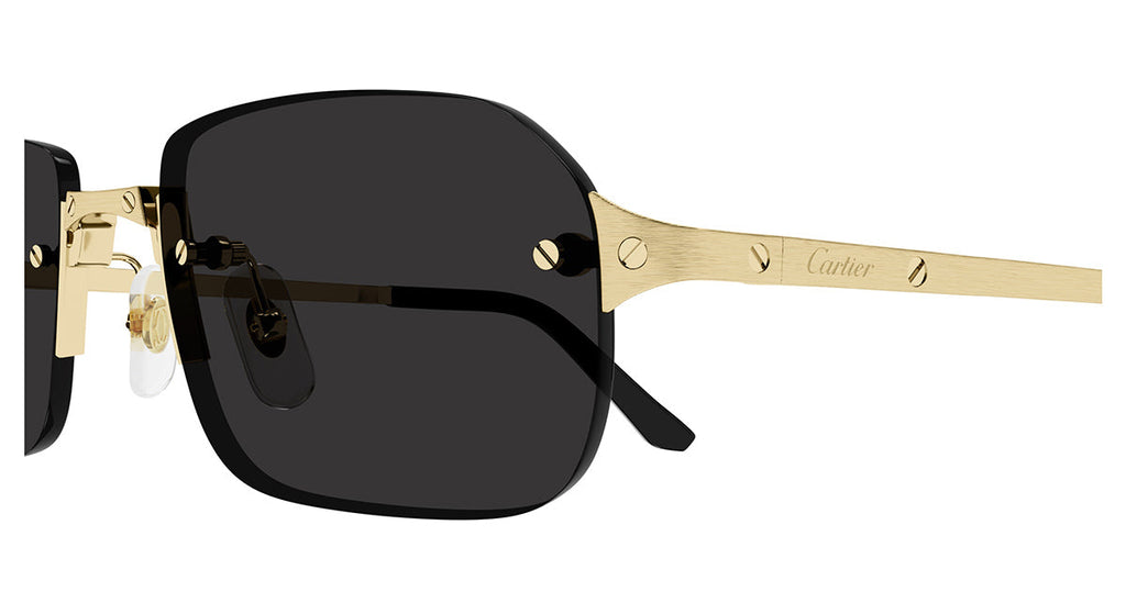 Cartier CT0460S 001
