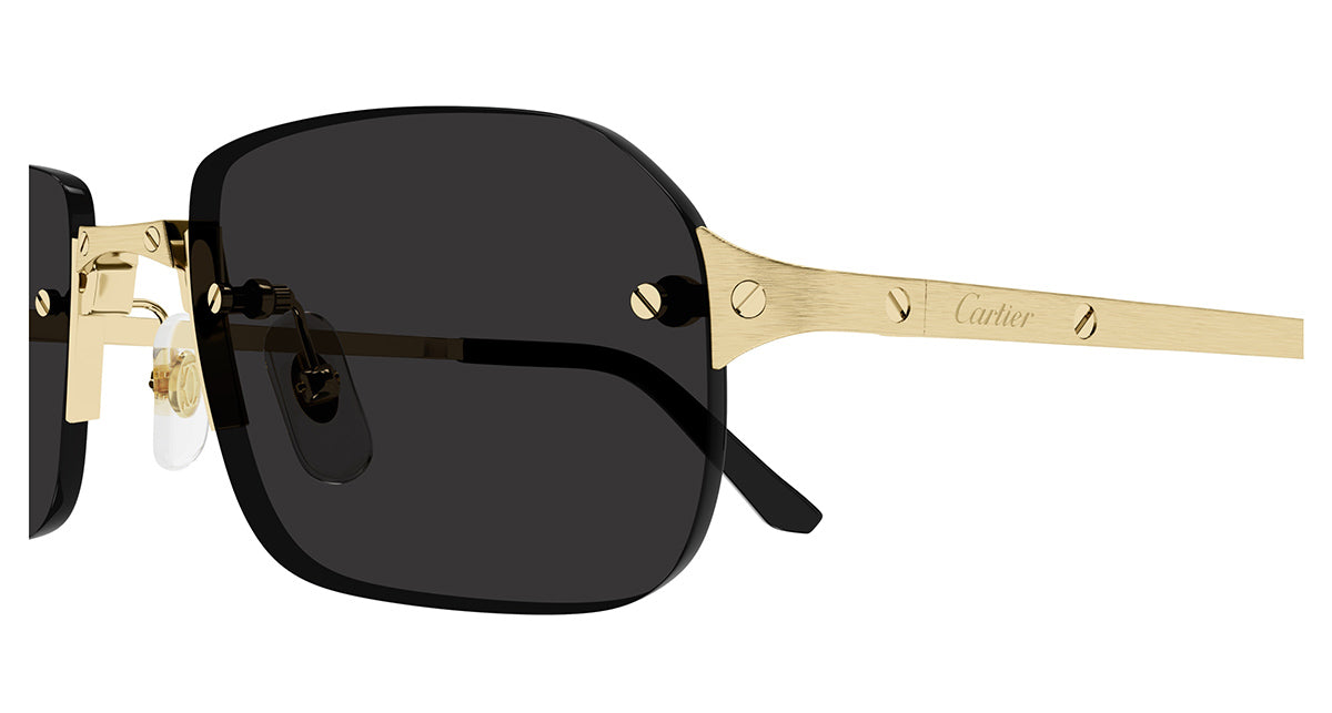 Cartier CT0460S 001