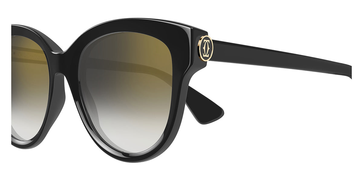 Cartier CT0506SA 001