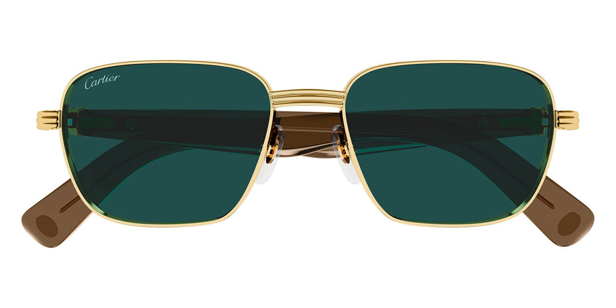 Cartier CT0538S 007