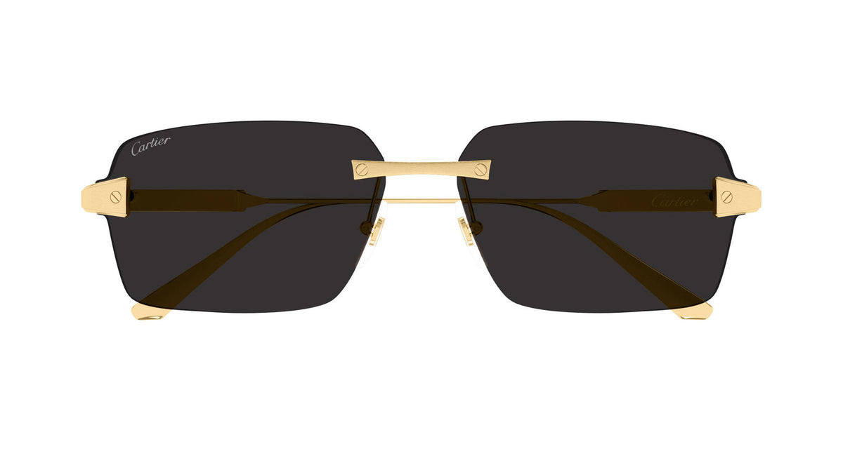 Cartier CT0652S 001