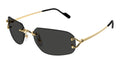 Cartier CT0663S 001