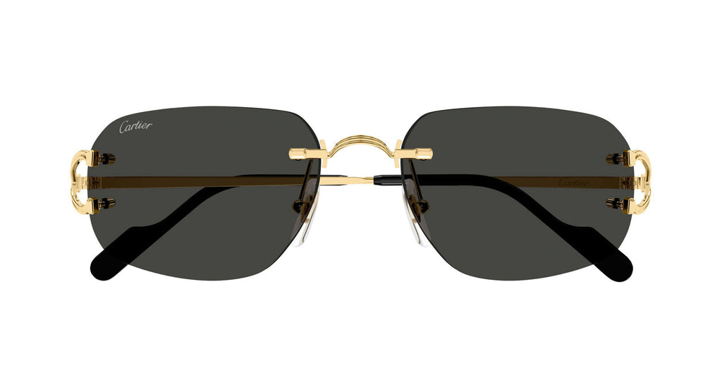 Cartier CT0663S 001