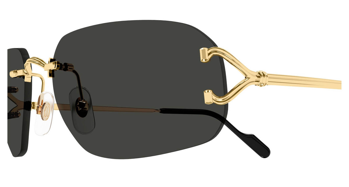 Cartier CT0663S 001