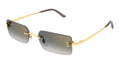 Cartier CT0672S 001