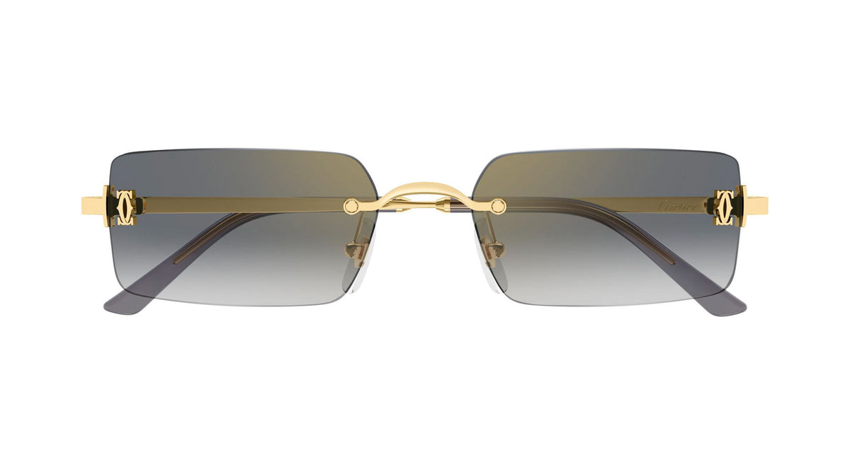Cartier CT0672S 001
