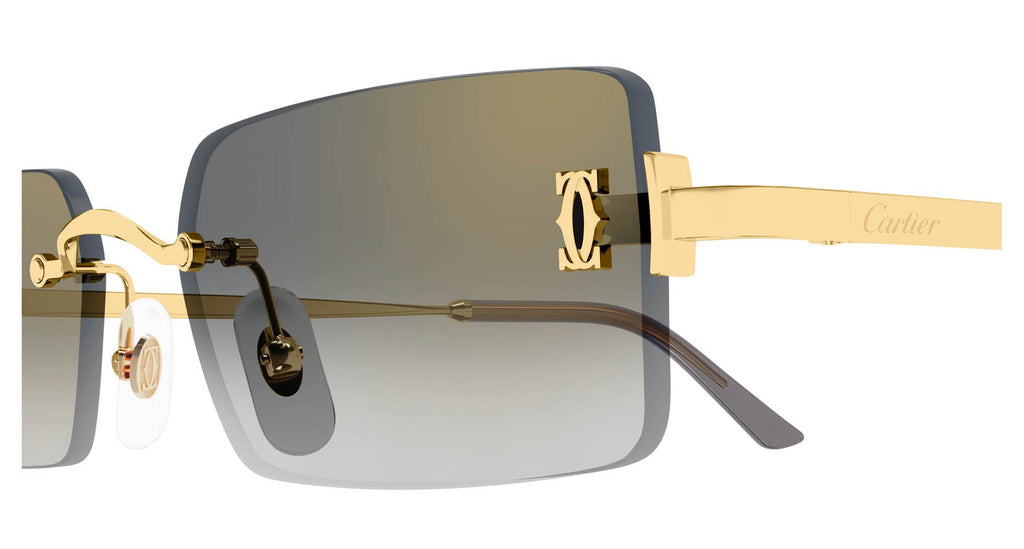 Cartier CT0672S 001