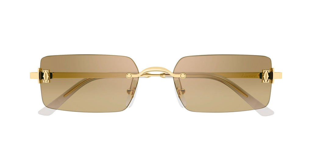 Cartier CT0672S 003