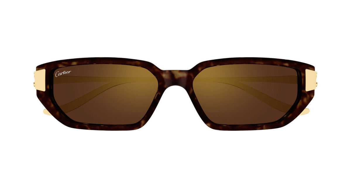 Cartier CT0674S 003