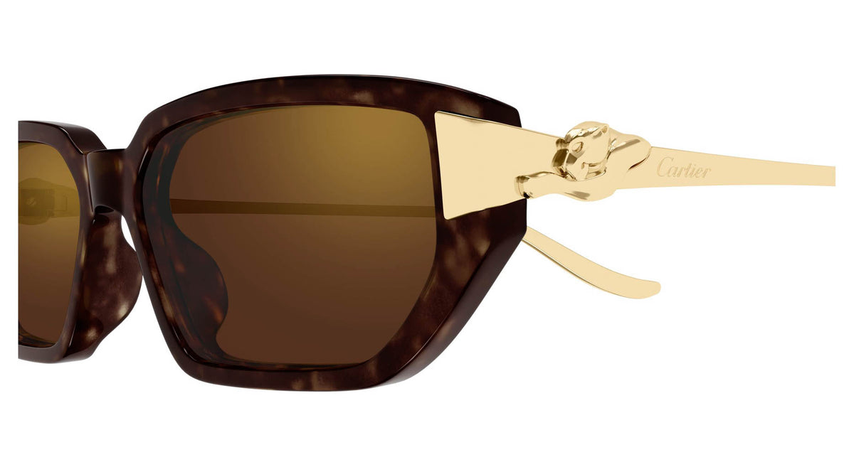 Cartier CT0674S 003