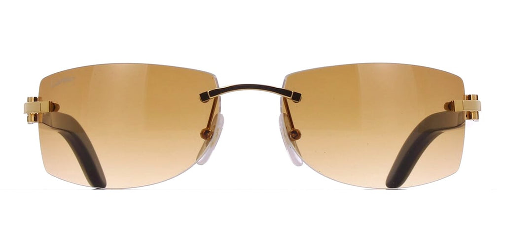 Cartier Buffalo Horn CT0017RS 001 7FA