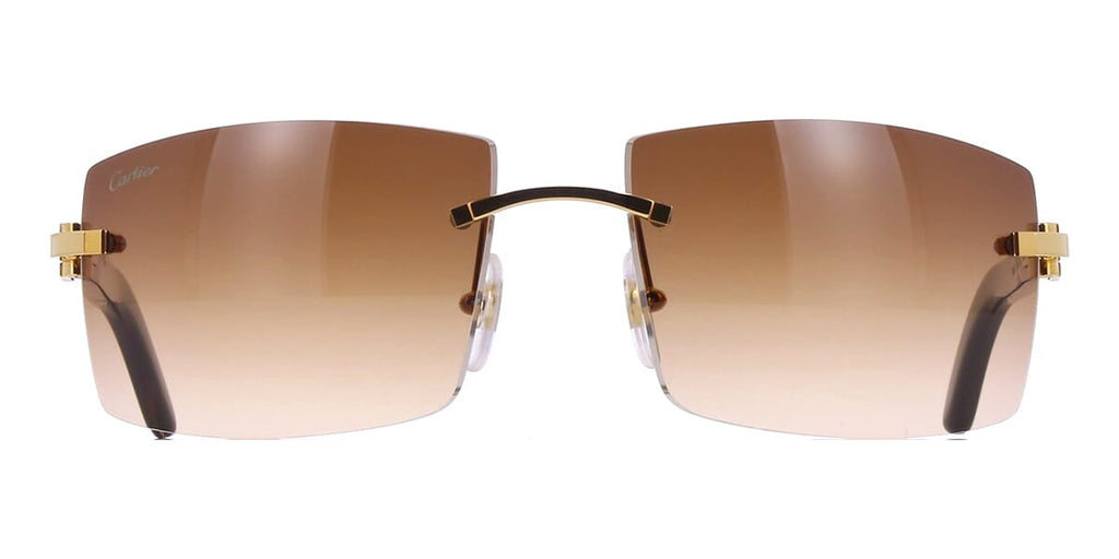 Cartier Buffalo Horn CT0021RS 001