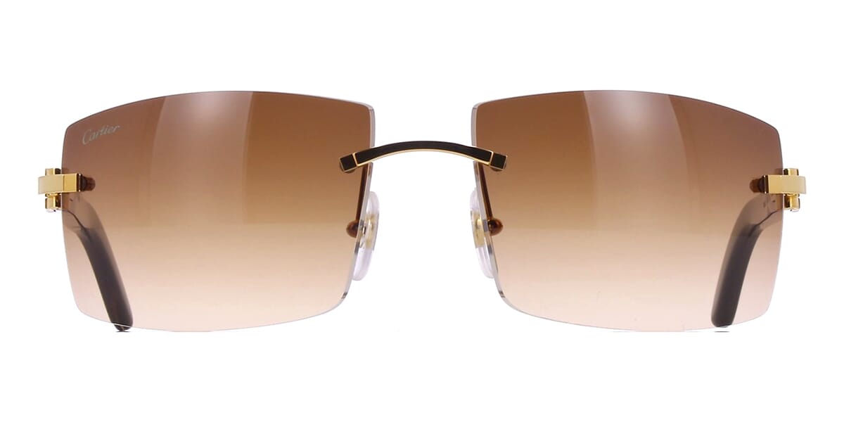 Cartier Buffalo Horn CT0021RS 001