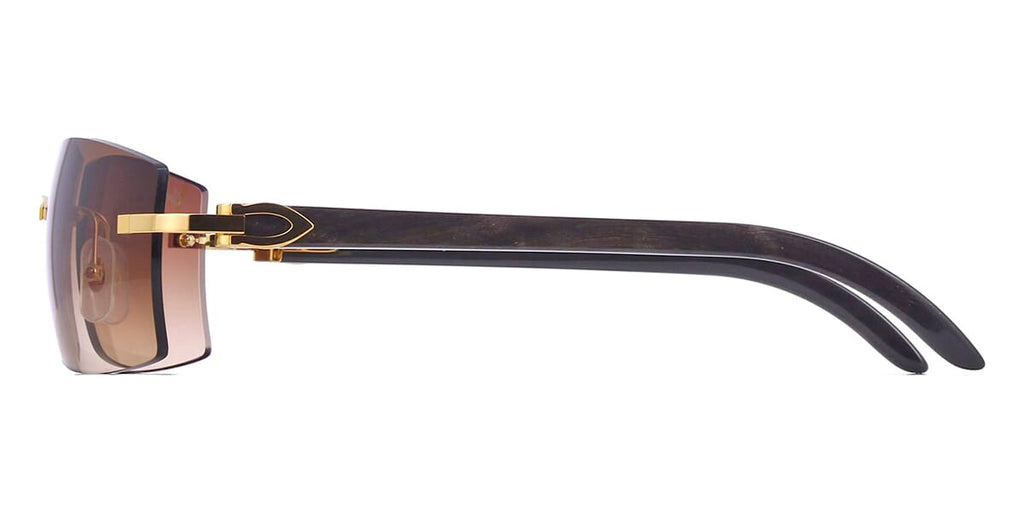 Cartier Buffalo Horn CT0021RS 001