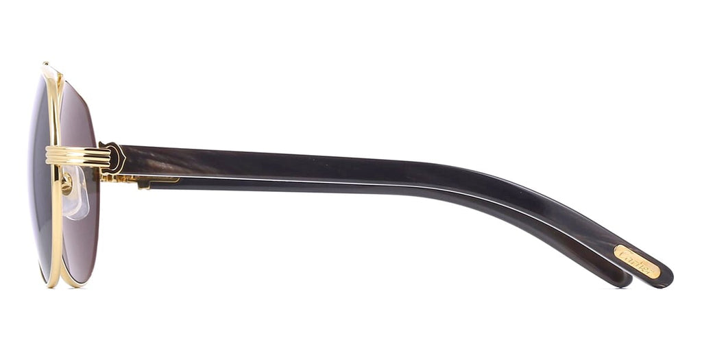 Cartier Buffalo Horn CT0272S 001 6CL Polarised