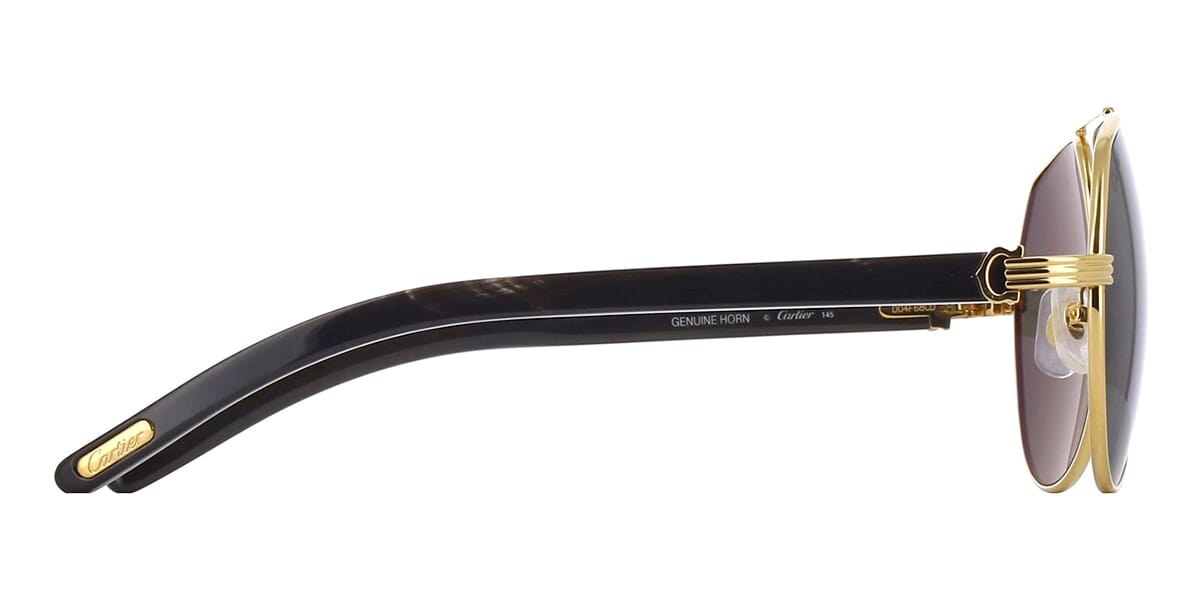 Cartier Buffalo Horn CT0272S 001 Polarised