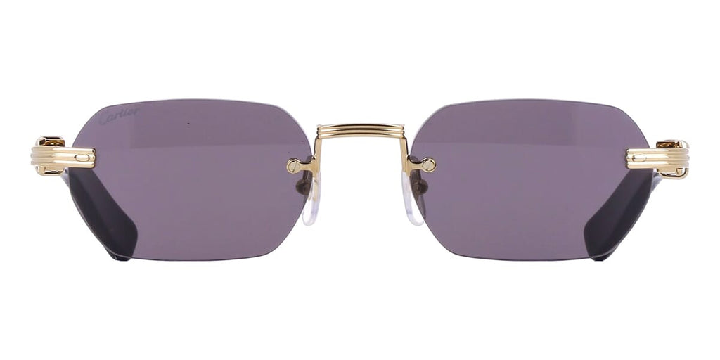 Cartier Buffalo Horn CT0362S 001 3J1