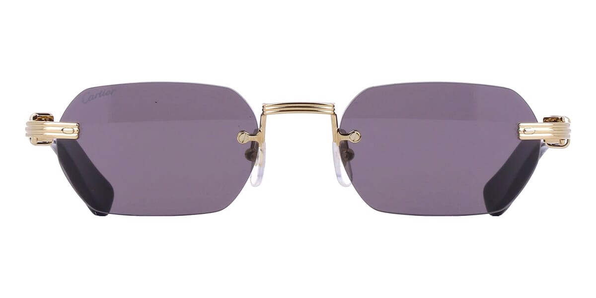 Cartier Buffalo Horn CT0362S 001 3J1