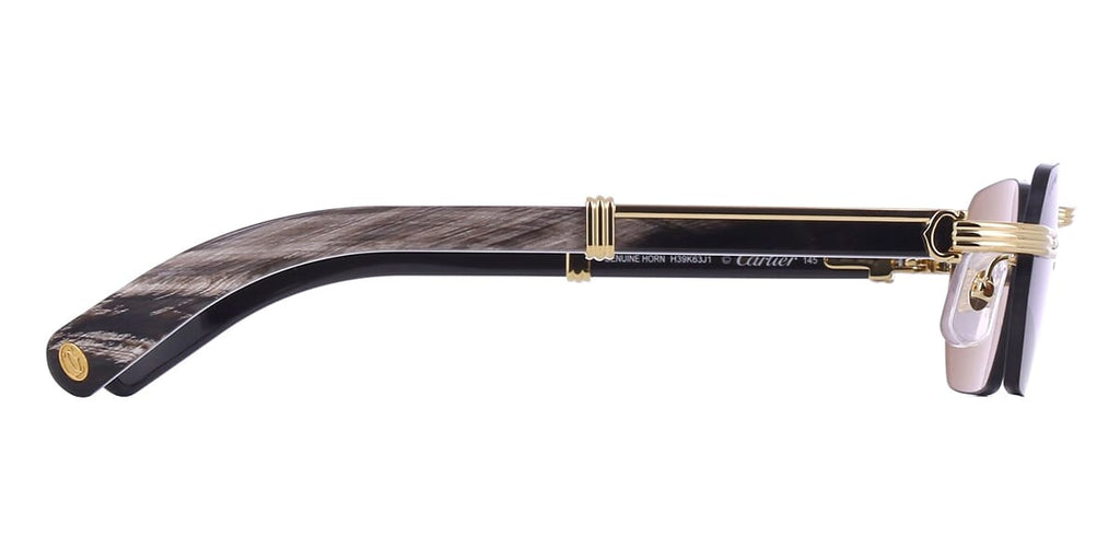 Cartier Buffalo Horn CT0362S 001 3J1