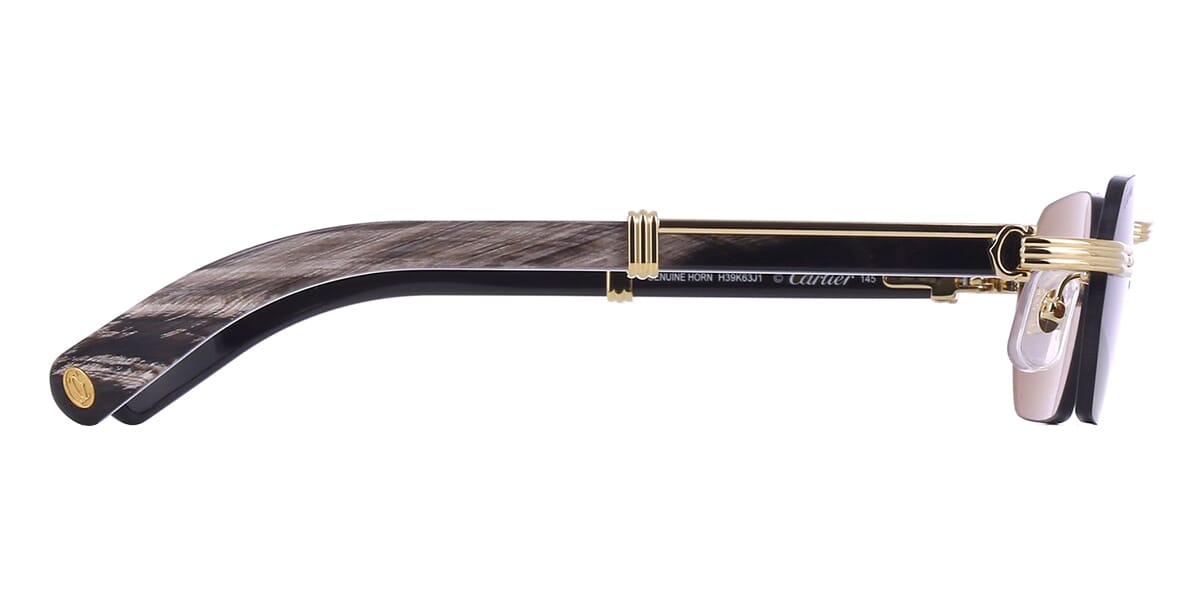 Cartier Buffalo Horn CT0362S 001 3J1