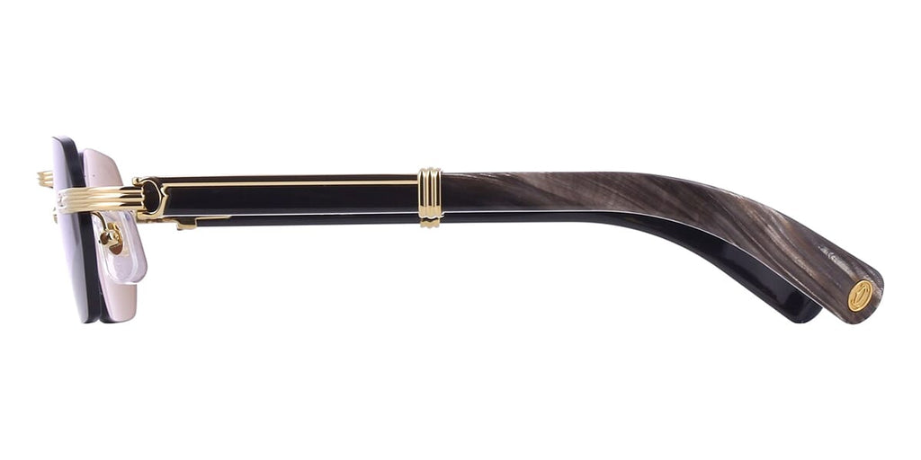 Cartier Buffalo Horn CT0362S 001 3J1