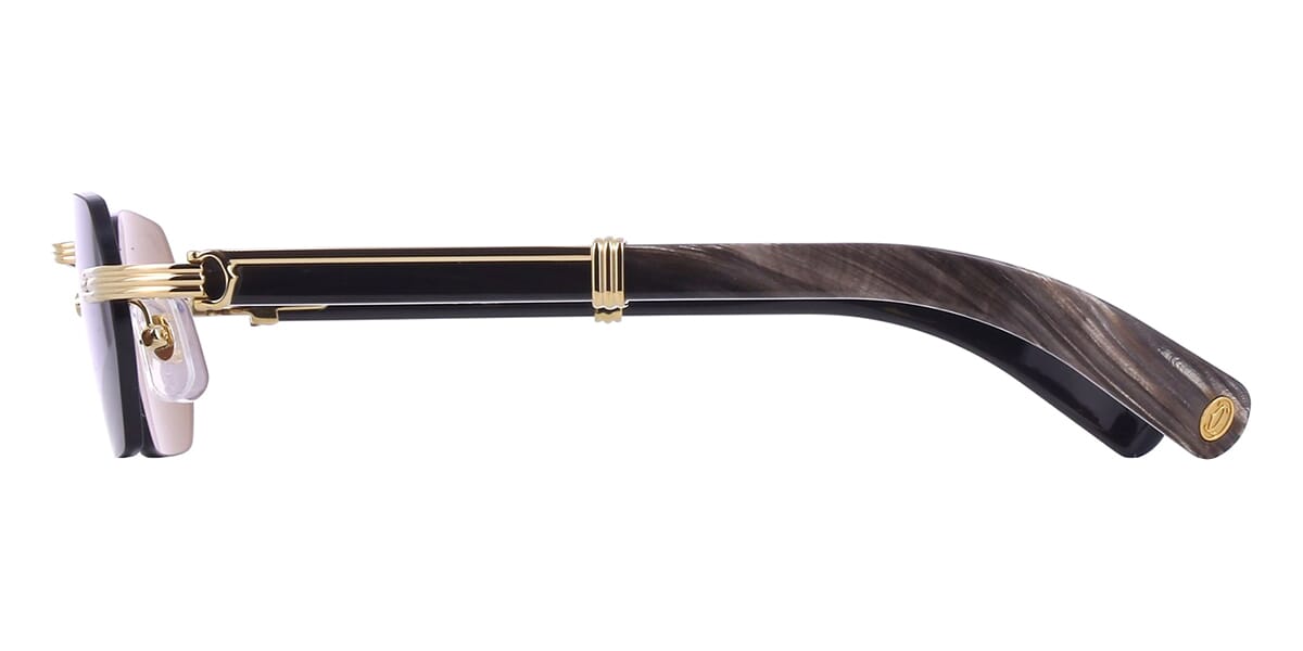 Cartier Buffalo Horn CT0362S 001 3J1