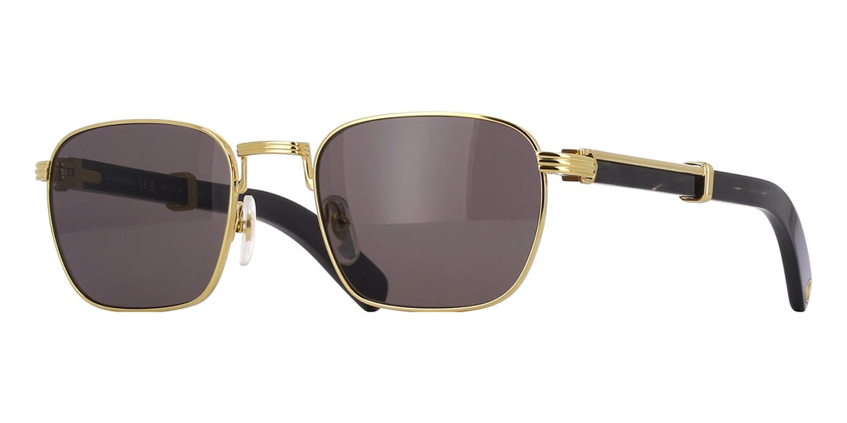 Cartier Buffalo Horn CT0363S 001