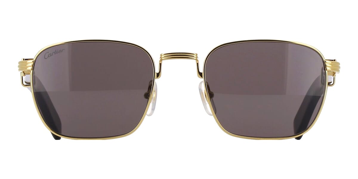 Cartier Buffalo Horn CT0363S 001