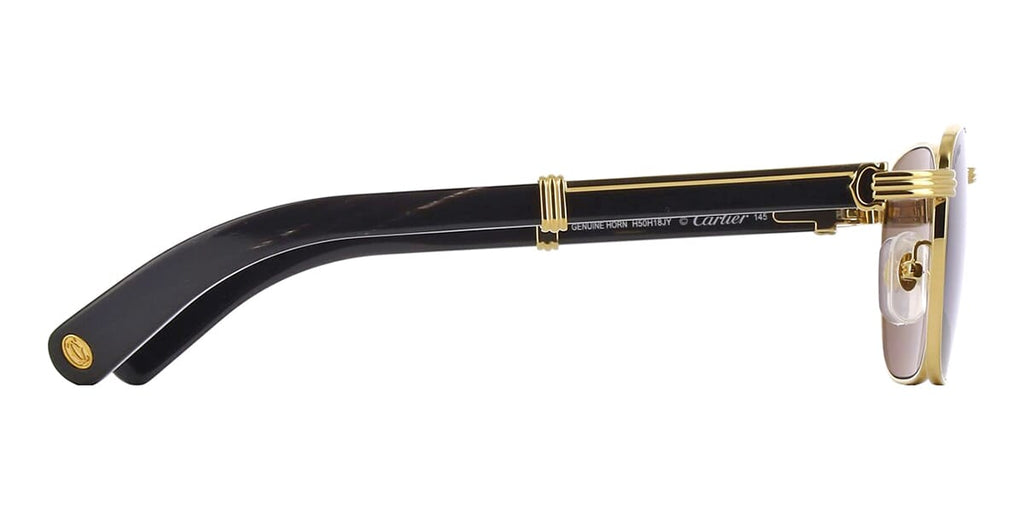 Cartier Buffalo Horn CT0363S 001