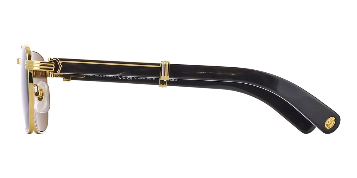 Cartier Buffalo Horn CT0363S 001