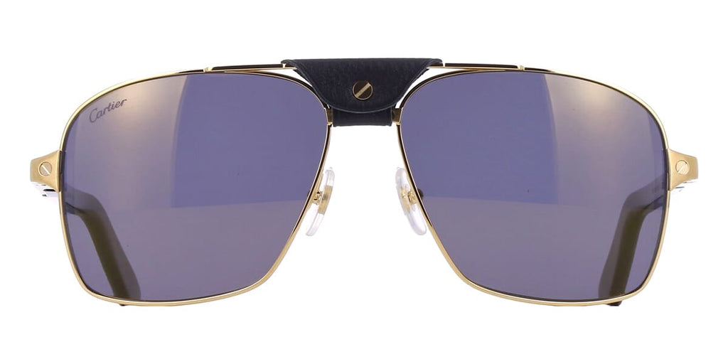 Cartier Buffalo Horn CT0389S 003 1G7 Polarised