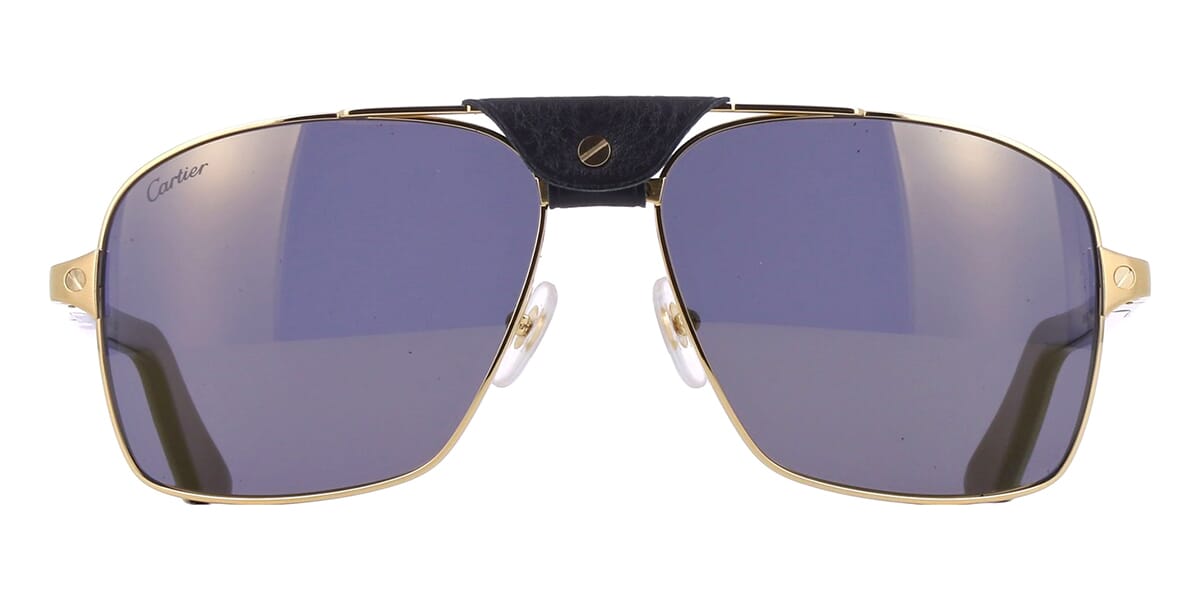 Cartier Buffalo Horn CT0389S 003 1H0 Polarised