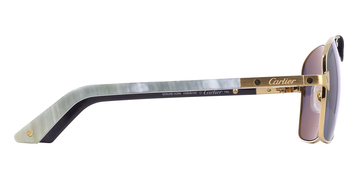 Cartier Buffalo Horn CT0389S 003 1H0 Polarised