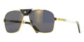 Cartier Buffalo Horn CT0389S 003 Polarised