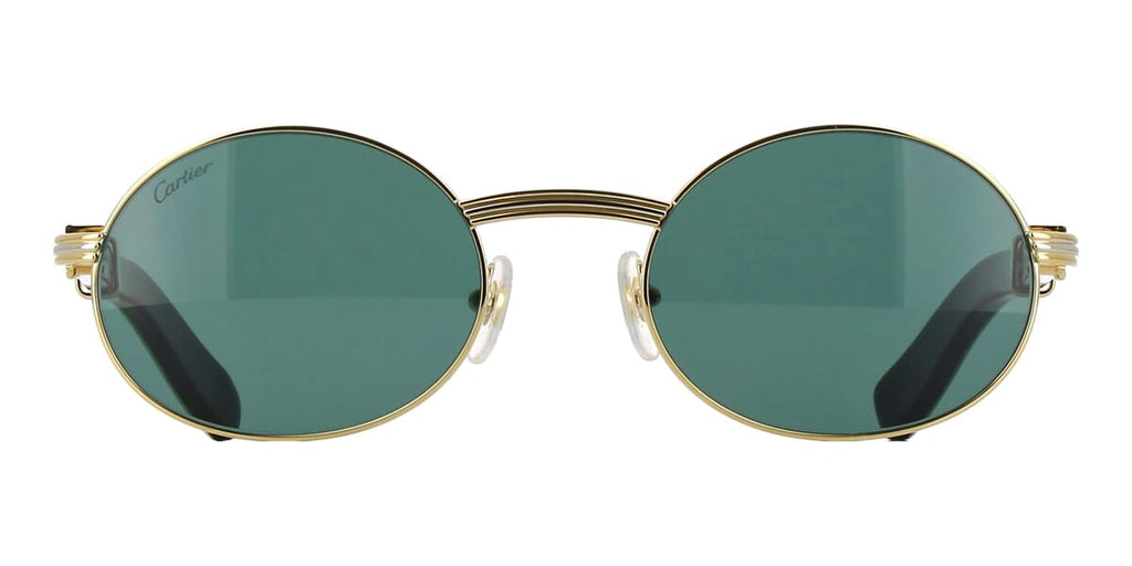 Cartier Buffalo Horn CT0464S 007 - As Seen On Anderson .Paak
