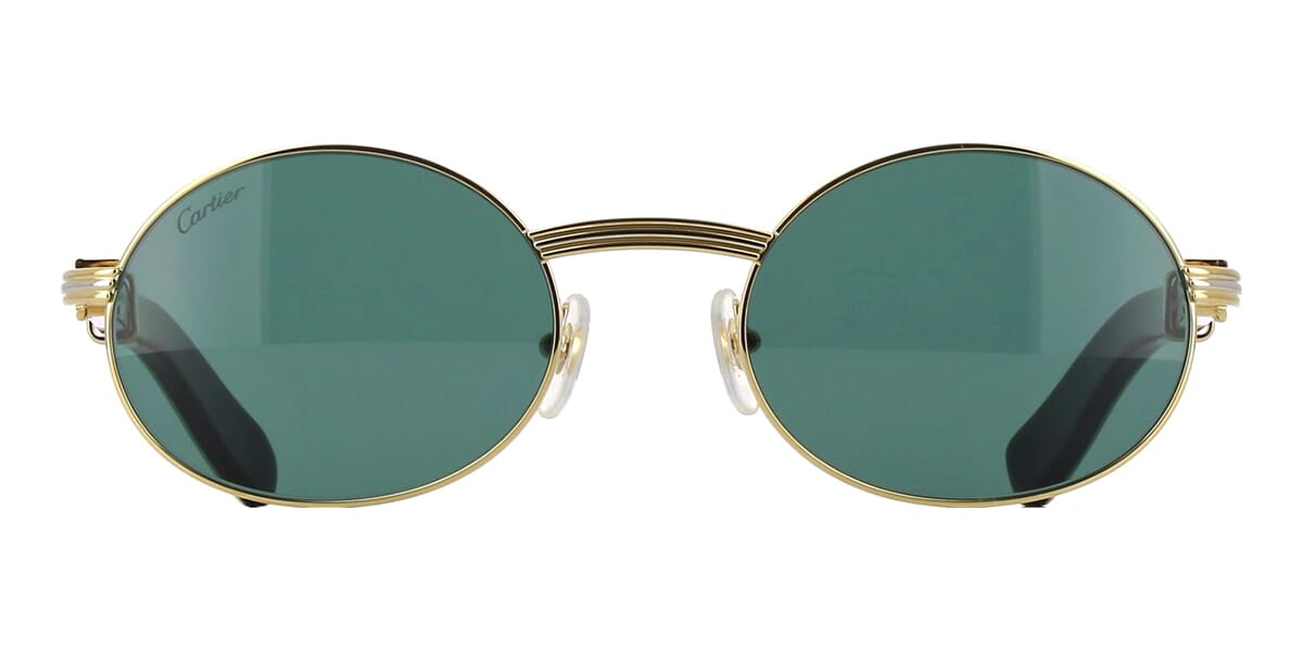 Cartier Buffalo Horn CT0464S 007 - As Seen On Anderson .Paak