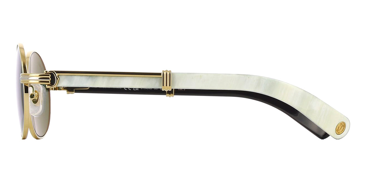Cartier Buffalo Horn CT0464S 007 - As Seen On Anderson .Paak