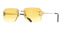 Cartier C Decor CT0330S 003 - As Seen On Dwayne Johnson