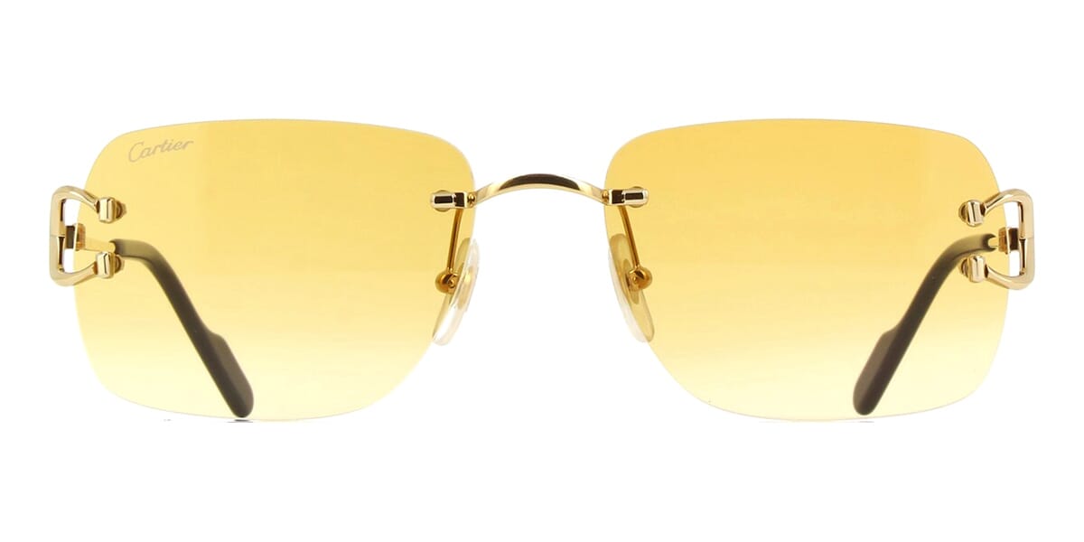 Cartier C Decor CT0330S 003 - As Seen On Dwayne Johnson