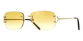 Cartier CT0011RS 002